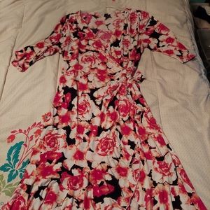 Rose Print Kiyonna Whimsy Dress